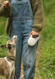 GlowFlex Retractable Pet Leash